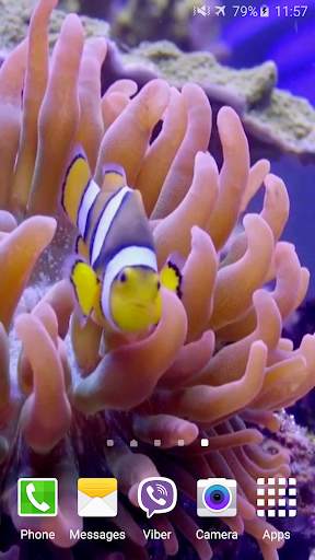 Aquarium Video Live Wallpaper screenshot 4