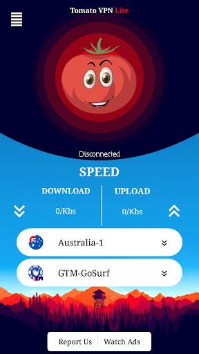 Tomato VPN Lite - Bypass Network Restricted Site screenshot 2