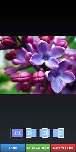 Lilac Wallpapers screenshot 5