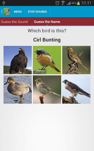 UK Birds Sounds Free स्क्रीनशॉट 6