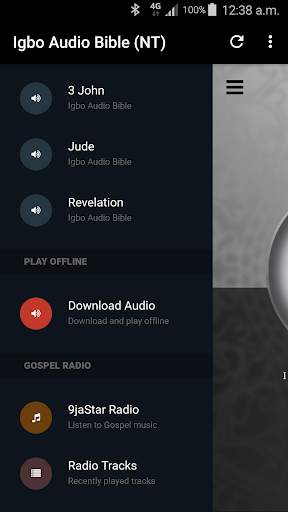Igbo Audio Bible (NT Audio Drama) screenshot 5