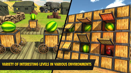Watermelon shooting game 3D screenshot 17