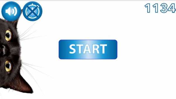 Find a cat - play with your friends! screenshot 1