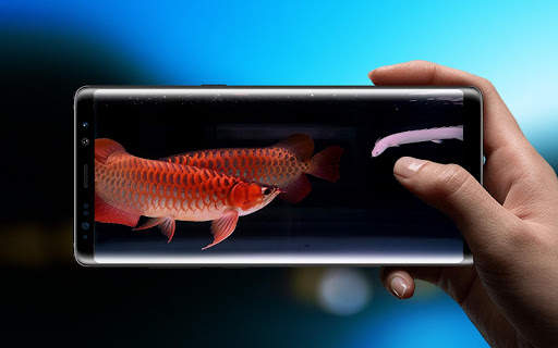 Lovely Arowana LiveWallpaper 1 تصوير الشاشة
