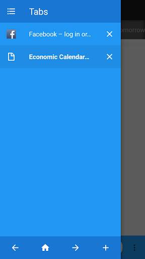 VWeb Browser screenshot 4