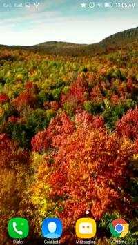 Landscapes Wallpapers HD Video screenshot 2