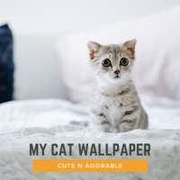 MyWALL Cute Cat Wallpaper