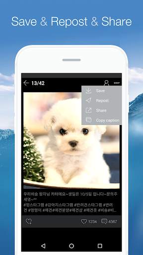 InSave for Instagram screenshot 2
