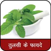 Tulsi ke Fayde : तुलसी के फायदे 1.0