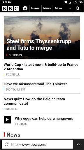 NetRover Private Browser screenshot 3