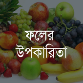 Fruits Benefit icon