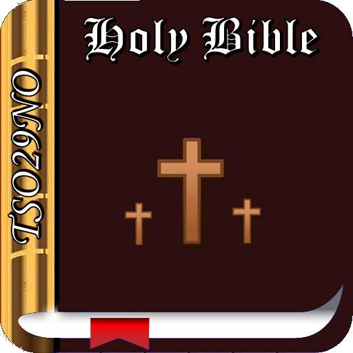 Holy Bible Tsonga(TSO29NO) 1.4