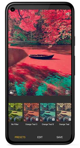 Photo Curves - Color Grading screenshot 5