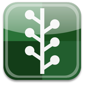 Mini Web icon