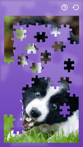 Jigsaw Puzzles Dogs स्क्रीनशॉट 4