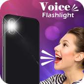 Voice Flashlight 1.1