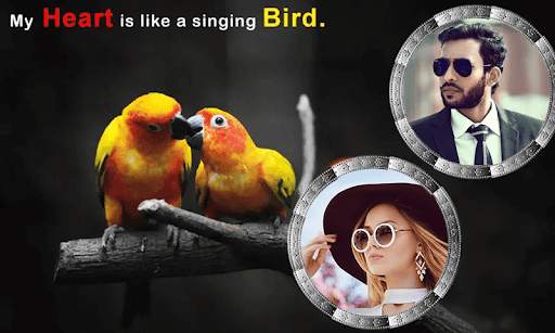 Love Birds Photo Frame screenshot 6