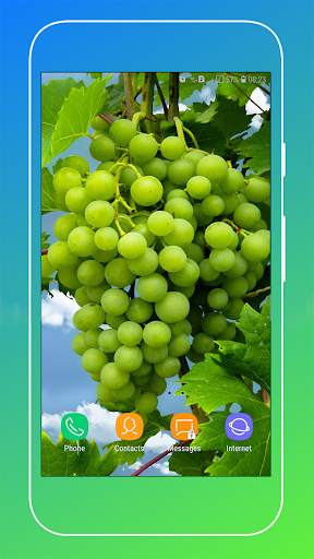 Grapes Wallpapers HD screenshot 5