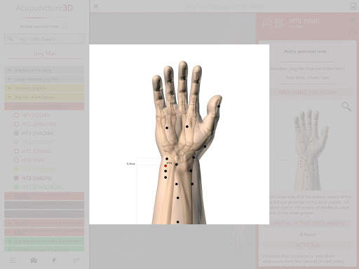 Acupuncture 3D screenshot 2