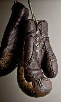 Boxing Wallpapers screenshot 2