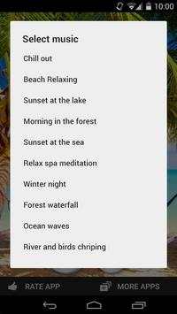 Chill out Relaxing music screenshot 2