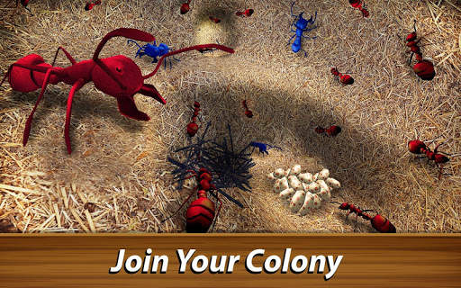 🐜 Ant Hill Survival Simulator: 🐞 Bug World screenshot 2