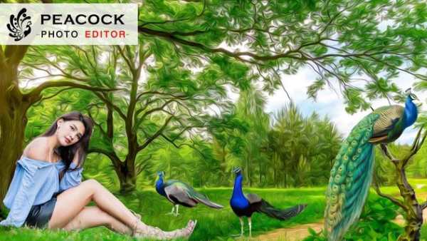 Peacock Photo Editor : Peacock Photo Frames screenshot 6