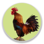 Modern Igbo Calendar icon