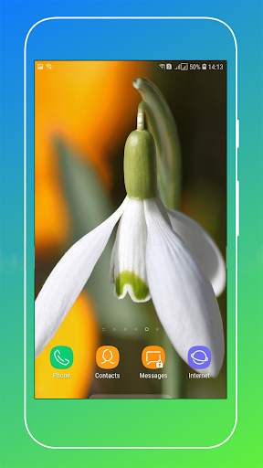 Macro Wallpaper screenshot 15