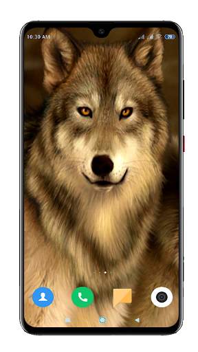 Wolf Wallpaper 4K screenshot 12