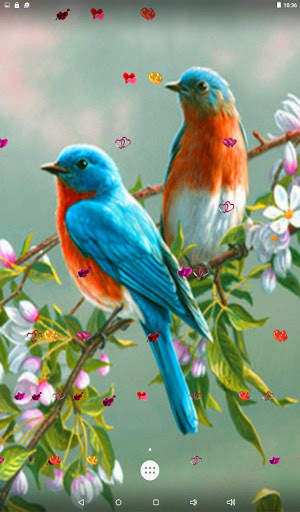 Love Birds Live Wallpaper screenshot 10