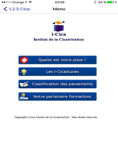 123 cica screenshot 8