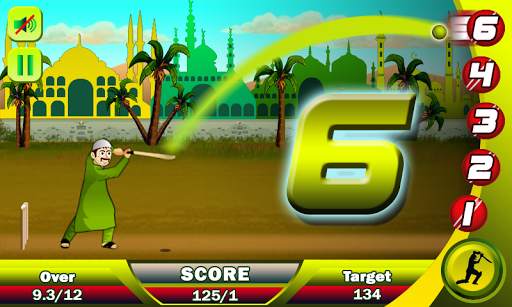 Ramzan Cricket screenshot 4