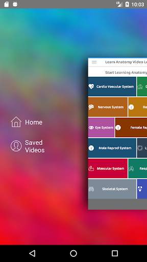 Learn Human Anatomy Video Lectures screenshot 3