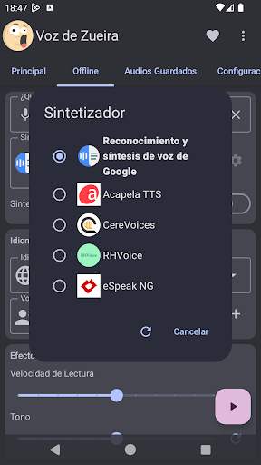 La Voz de Zueira - Texto a Voz screenshot 7
