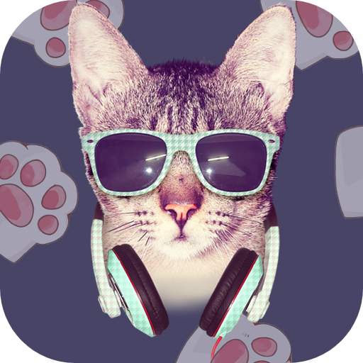 Super Tom 1.0.1