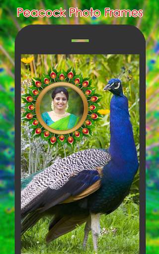 Peacock Photo Frames screenshot 5
