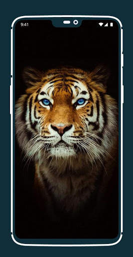 Tiger Wallpapers screenshot 1