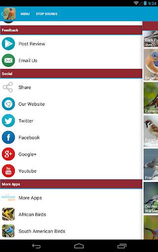North American Birds Free screenshot 16