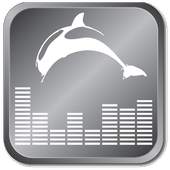 Dolphin Player 2.8