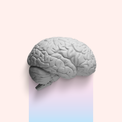 CT Brain icon