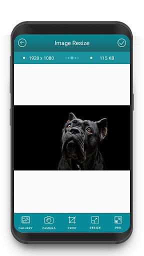 Image Resizer screenshot 1