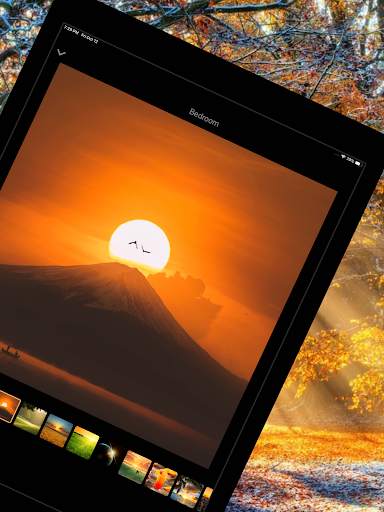 Lighter für Philips Hue screenshot 11