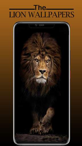 Lion Wallpaper Full HD - Sher Ka Photo Wallpaper screenshot 1