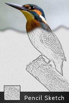 Photo Sketch Art screenshot 4