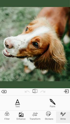 Professional photo editor screenshot 3