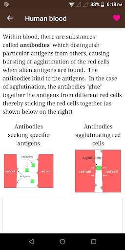 Anthropology screenshot 8