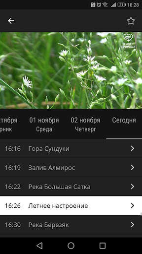 Ufanet TV (Для смартфонов и пл 6 تصوير الشاشة