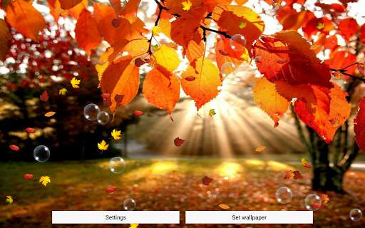 Autumn Live Wallpaper Free screenshot 5