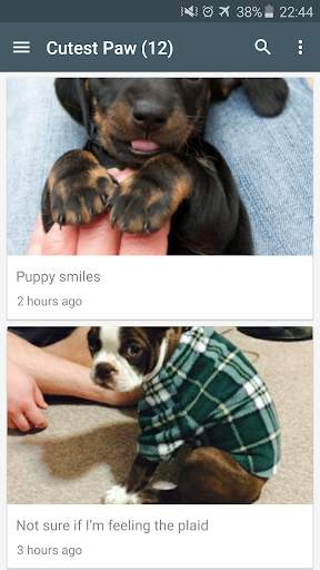 Cute funny puppy & cat photos screenshot 2